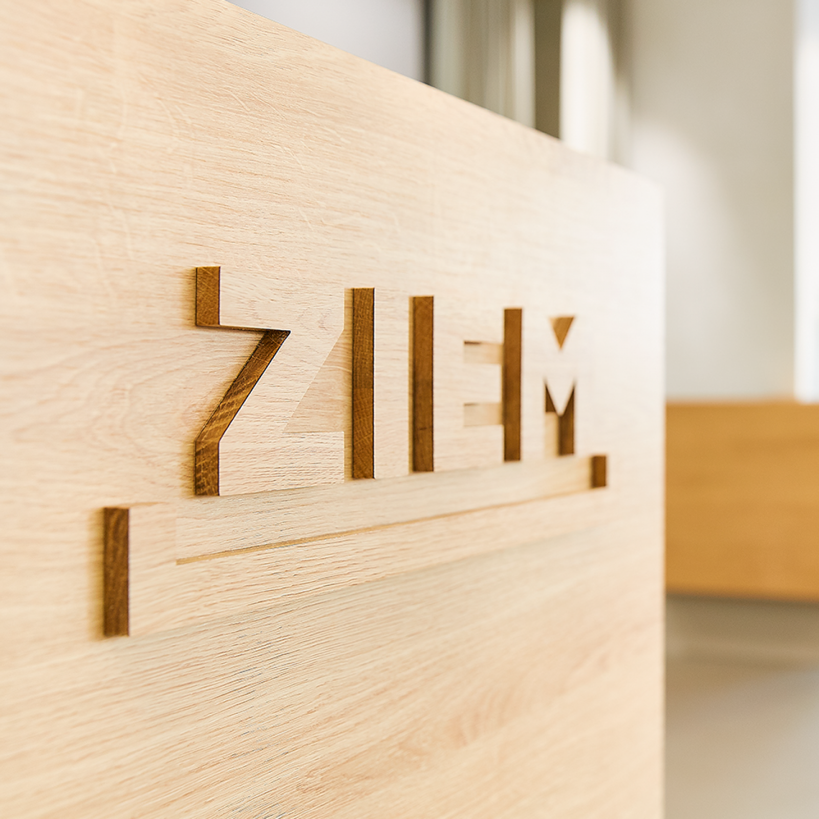 Ziem Logo Optik Hörgeräte Düsseldorf
